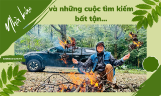 Nhà báo Đỗ Doãn Hoàng và những cuộc tìm kiếm bất tận…
